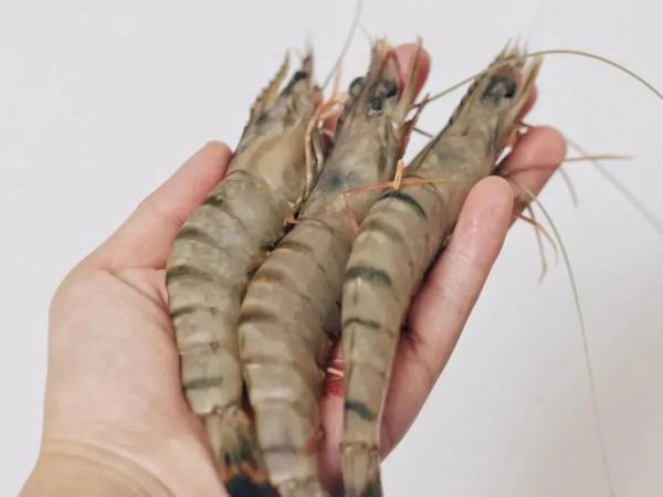 讓寶寶大口吃肉，我這招太管用了