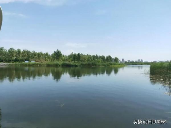 杜鵑河漫步觀鳥賦詩