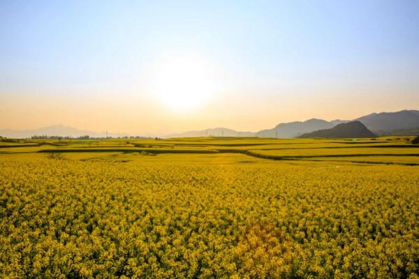 好訊息！雲南恢復跨省遊！你的詩和遠方可以安排了