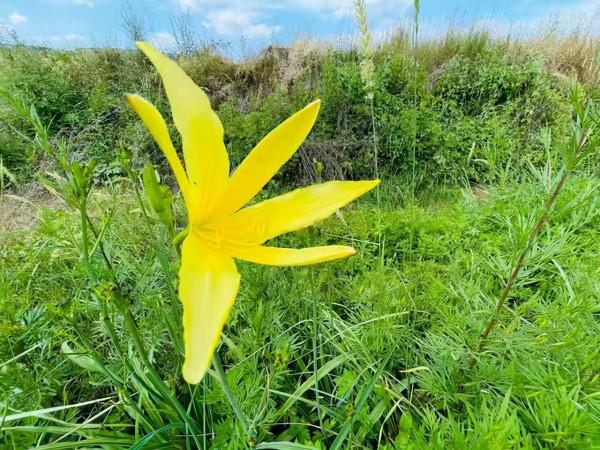 一個人，即將轉運的徵兆：摒棄這四心態