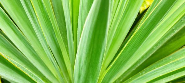 在即墨田橫島，享受難得的寂寞、清淨和快樂