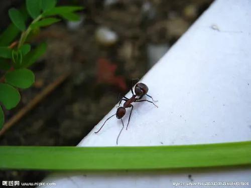 人類世界分成六個維度，你在第幾維？&mdash;&mdash;超越你的思維格局