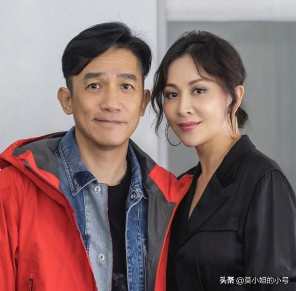 選擇丁克的12對明星夫妻:有人要捐出56億身家,譚詠麟卻偷偷生子 選擇丁克的12對明星夫妻:有人要捐出56億身家,譚詠麟卻偷偷生子