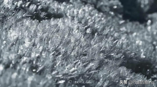 女生SOLO雨崩村：據說只有萬分之一的人見過這樣的雨崩