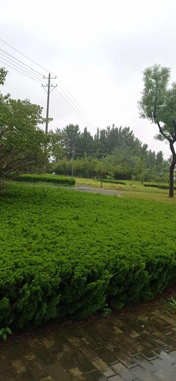 常用降壓藥物應用方法、適應症、禁忌症 常用降壓藥物應用方法、適應症、禁忌症