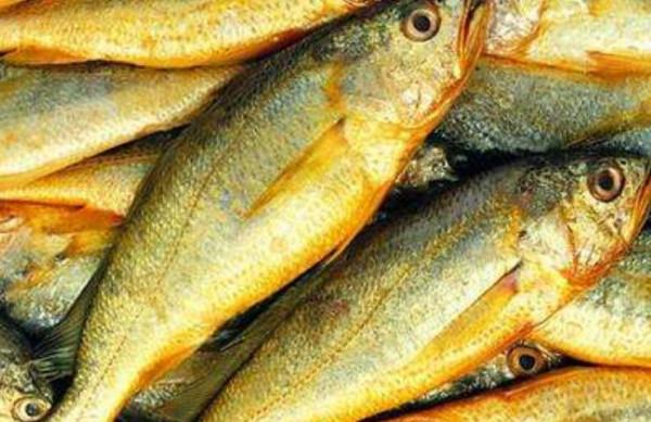 夏天要多吃魚，這4種海魚肉嫩鮮美，經濟實惠，關鍵人工不能養殖