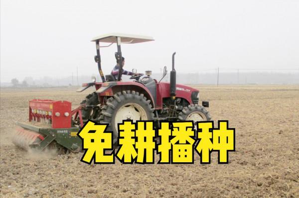 種植小麥,深耕好還是免耕好?利弊詳細對比,哪種產量高? 種植小麥,深耕好還是免耕好?利弊詳細對比,哪種產量高?