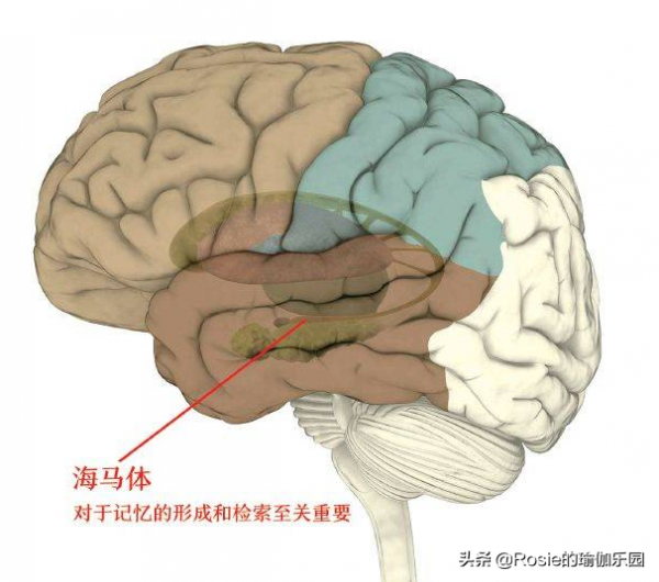天冷身體僵緊運動難？秋冬運動要注意什麼？5個瑜伽動作纖腰瘦腹