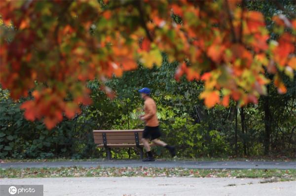美國新澤西州公園秋色醉人 美國新澤西州公園秋色醉人