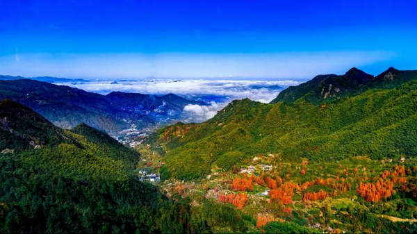 錯峰出遊正當時 九華山開始執行淡季門票 錯峰出遊正當時 九華山開始執行淡季門票