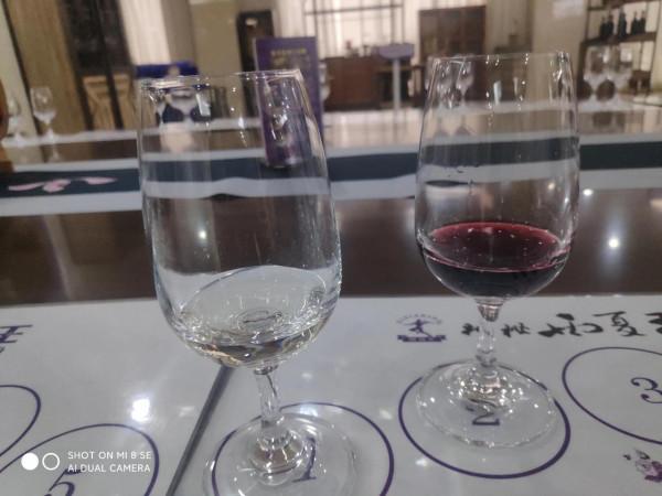 媽呀！拍《山海情》黃軒住過的酒店！我承認我酸了