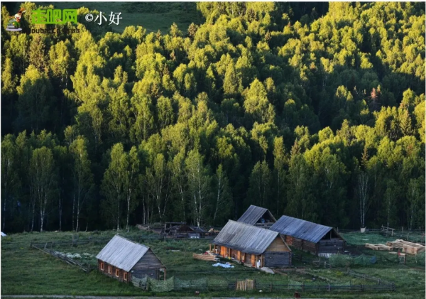 全球最美公路在中國！10065公里世界級大道，​從雪域高原到海洋