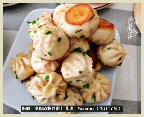 多肉小白2個月成功入坑:有我在,你們就負責變美吧 多肉小白2個月成功入坑:有我在,你們就負責變美吧