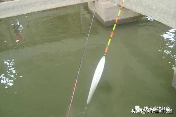 冬釣調漂技巧來了，讓你穩抓魚口