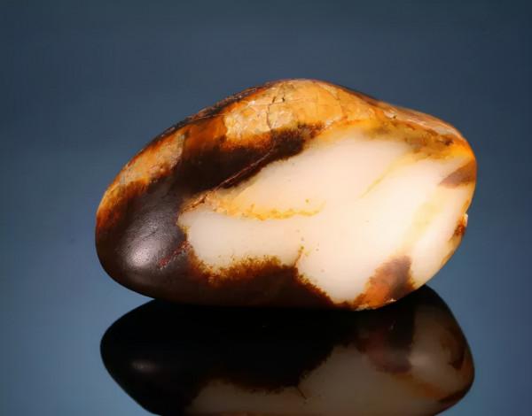 800多萬成交！這種“黑美人”絕對值得你收藏