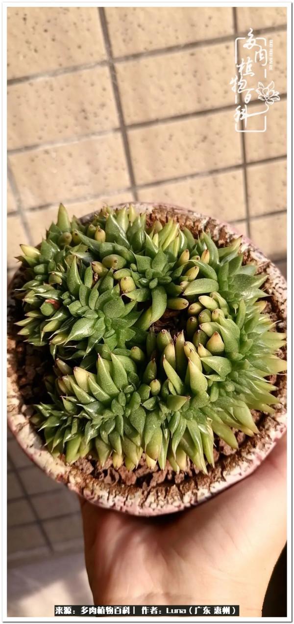 學會和解:與自己、與他人、與世界 學會和解:與自己、與他人、與世界