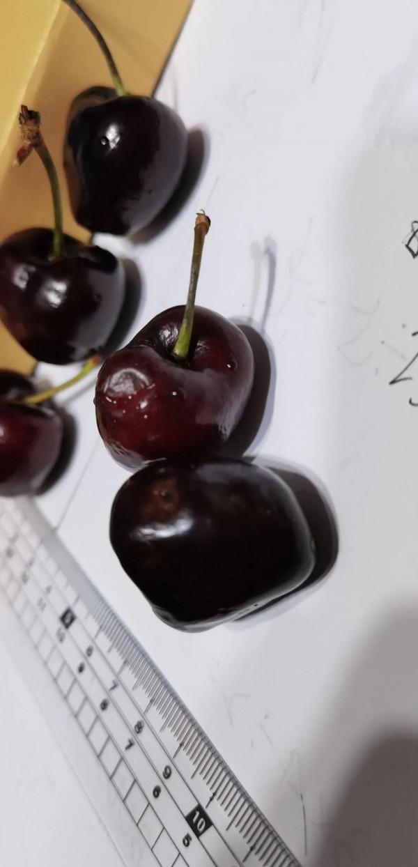 京東生鮮超市4j車釐子以次充好