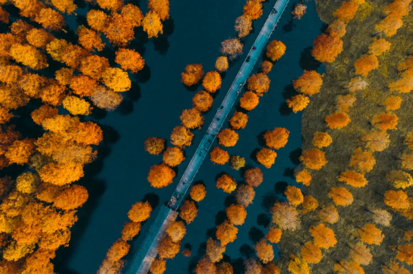《國家地理》最新評出10箇中國最美的旅行地，這些地方你去過幾個