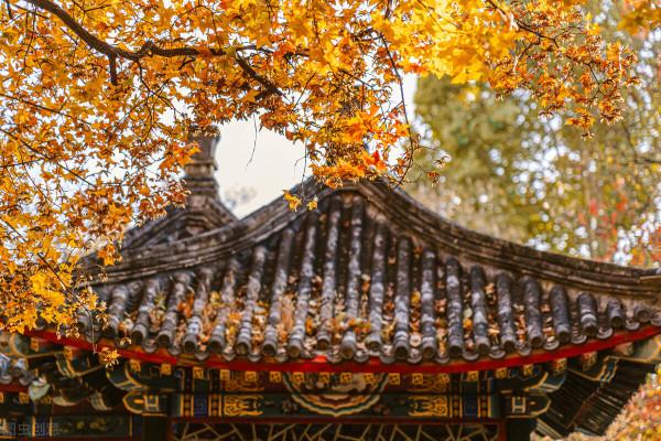 史鐵生《我與地壇》讀後感1:好好活著,好好孝敬父母 史鐵生《我與地壇》讀後感1:好好活著,好好孝敬父母