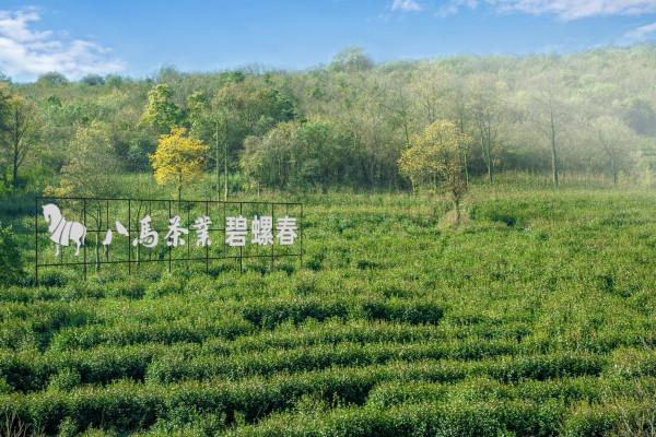 神秘的北緯30°，在這裡，奇蹟與災難並存…
