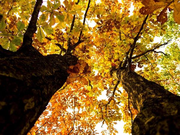 人生就是一次遇見,我在雲悅溪等你 人生就是一次遇見,我在雲悅溪等你