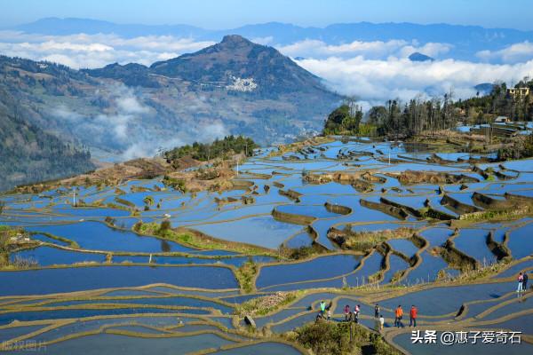 雲南奇石玉石一覽,有種石頭現在每公斤已經上百萬 雲南奇石玉石一覽,有種石頭現在每公斤已經上百萬
