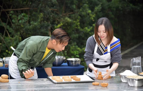 動物世界：從狗生贏家王可可開始，扒一扒各路明星斥巨資養的寵物