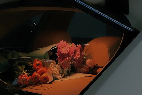 懂得取捨的星座，該出手時就出手，擅長忍耐，面對機會從不手軟