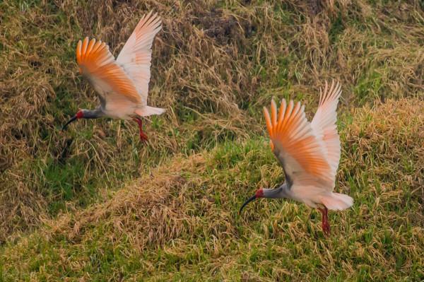 陝西冷知識:關於陝西這24個世界之最和中國之最,你還知道哪些? 陝西冷知識:關於陝西這24個世界之最和中國之最,你還知道哪些?
