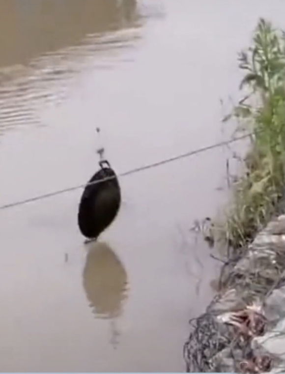 除了釣不到魚，真的什麼都能釣到，你都釣起來過哪些奇葩？