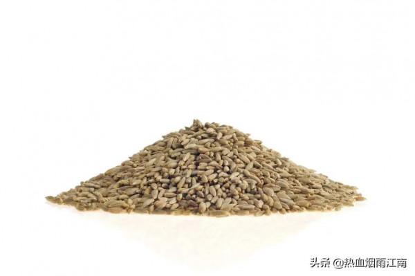 要想種出好花，挑選好的培養基是關鍵