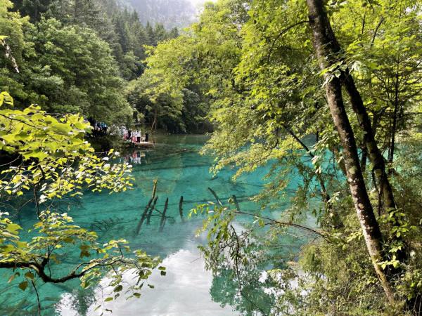 九寨溝+黃龍5天4晚旅遊,九寨溝遊玩攻略 九寨溝+黃龍5天4晚旅遊,九寨溝遊玩攻略