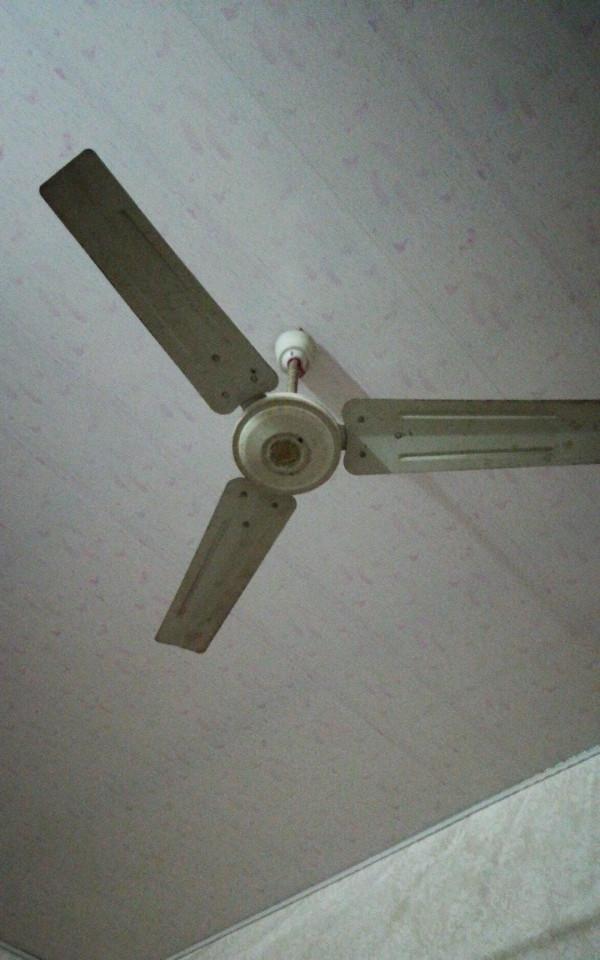 媳婦堅持裝吊扇燈,花2600元買了4個,還說:家要的就是舒適 媳婦堅持裝吊扇燈,花2600元買了4個,還說:家要的就是舒適