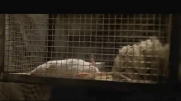 不死傳奇！多災多難的蘇聯K-19號核潛艇，為何能多次化險為夷？