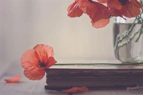 覺得生活辛苦，是因為總在以50分的心態答100分的考卷