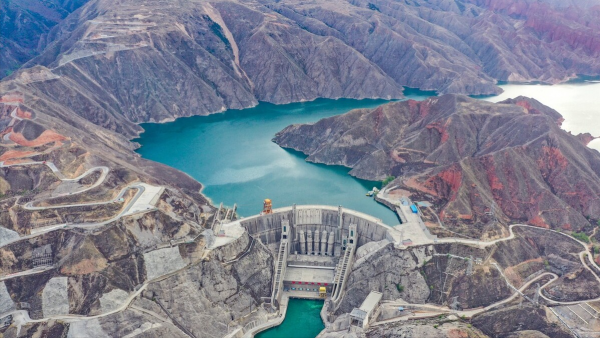 食蚊魚侵入北方9省區,50天就能產仔,黃河或全線“失守”? 食蚊魚侵入北方9省區,50天就能產仔,黃河或全線“失守”?