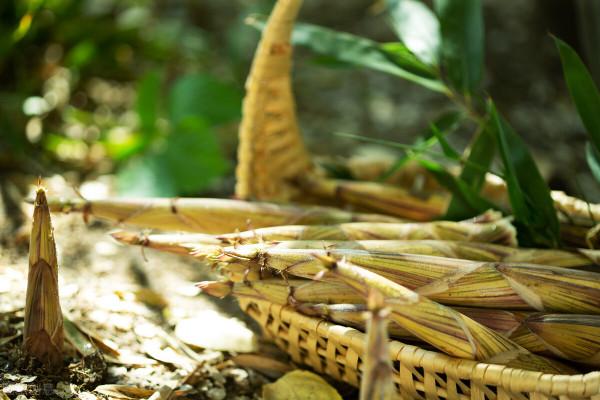 餘生,最聰明的做法,不過是兩個字:存錢 餘生,最聰明的做法,不過是兩個字:存錢