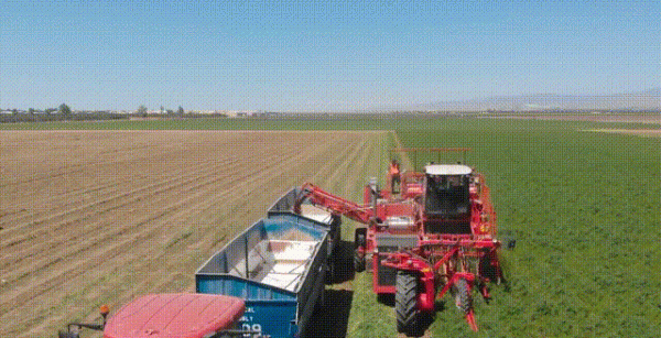 德國全機械化農業有多牛？看完讓你大開眼界，一個農民養活120人