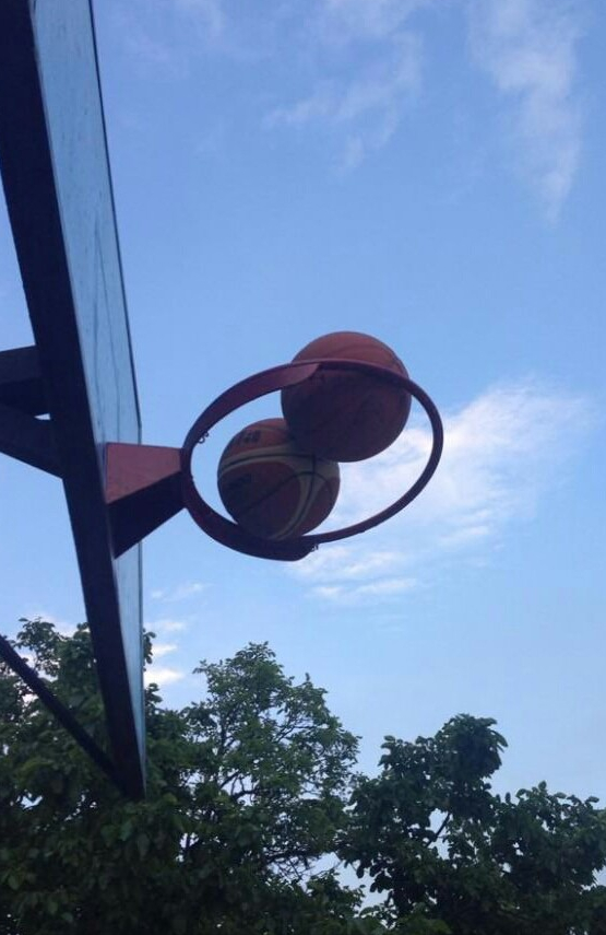 25張活久見圖片,狗狗竟用武器決鬥,山羊也能上樹? 25張活久見圖片,狗狗竟用武器決鬥,山羊也能上樹?