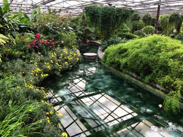 開園即火的全新遛娃地，再冷也要陪娃放電一整天