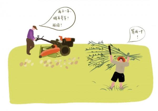 糧食，歷史最深層的決定者