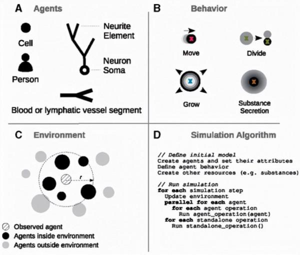 BioDynaMo(已開源):一個研究生物過程的新計算平臺 BioDynaMo(已開源):一個研究生物過程的新計算平臺