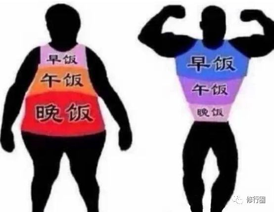 為什麼過午不食？