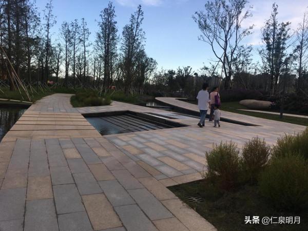 “尋魚”之行 “尋魚”之行