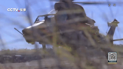 虎年裡，盤點那些和“虎”有關的武器裝備