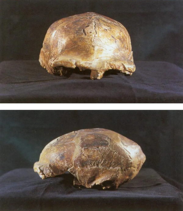 哪些考古大發現重建了我們對中華文明的認知? 哪些考古大發現重建了我們對中華文明的認知?