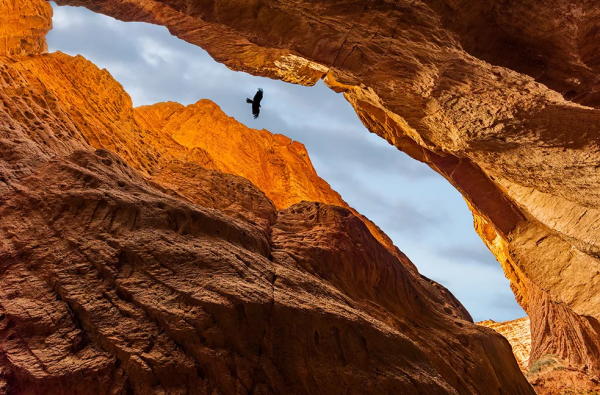 2021年，新疆非去不可，新疆怎麼玩，看完這一篇就夠了