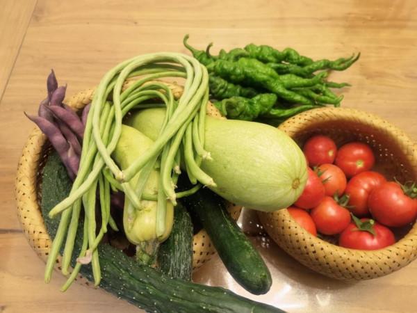 原來，獨居真的會上癮