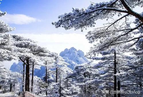 行者無疆，我們一直在路上