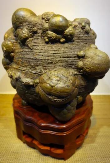 天下奇石太美了